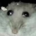 hrusb