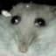 hrusb's avatar