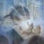 luthien's avatar