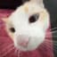 kat's avatar